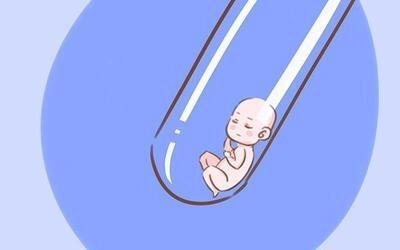 陈若晴 副院长